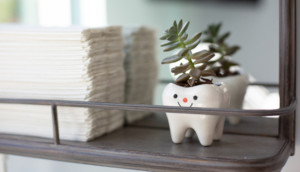 TEW interior design Raleigh